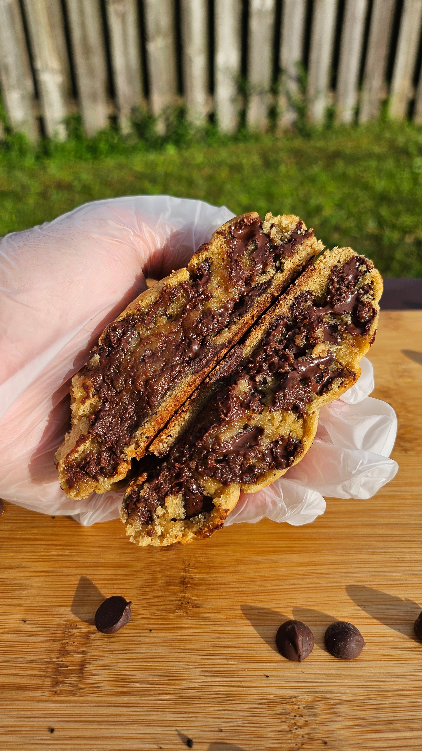 "Freshly baked homemade chocolate chip cookies with golden edges and gooey chocolate chunks."